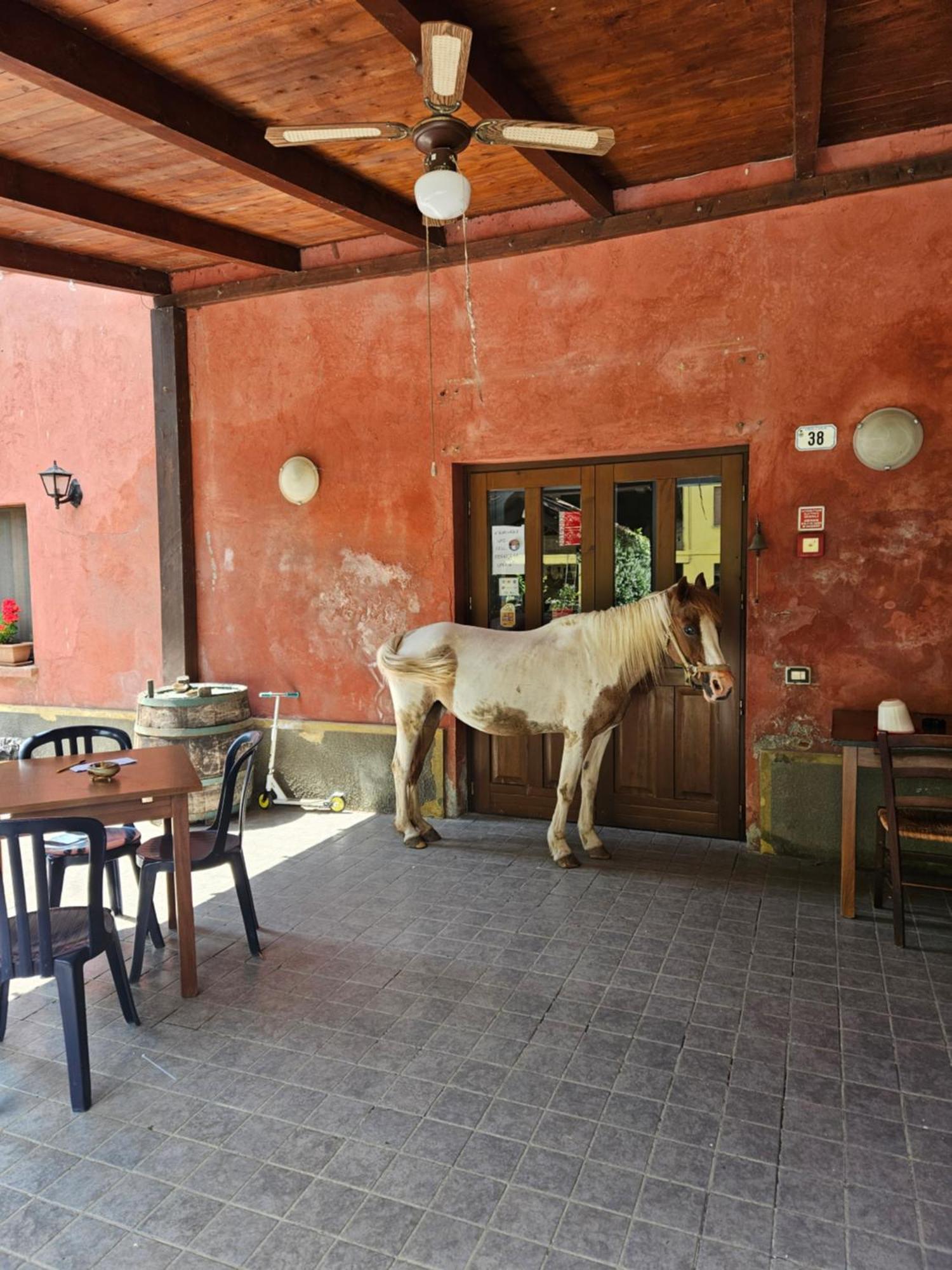 Agriturismo La.Ti.Mi.Da. Cassine エクステリア 写真