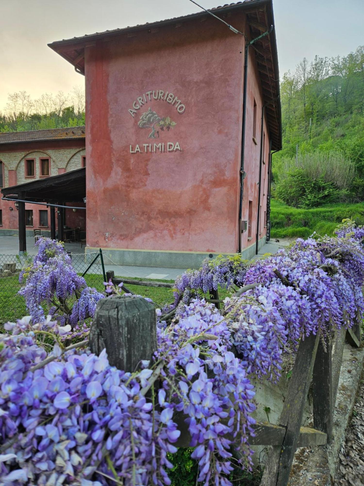 Agriturismo La.Ti.Mi.Da. Cassine エクステリア 写真