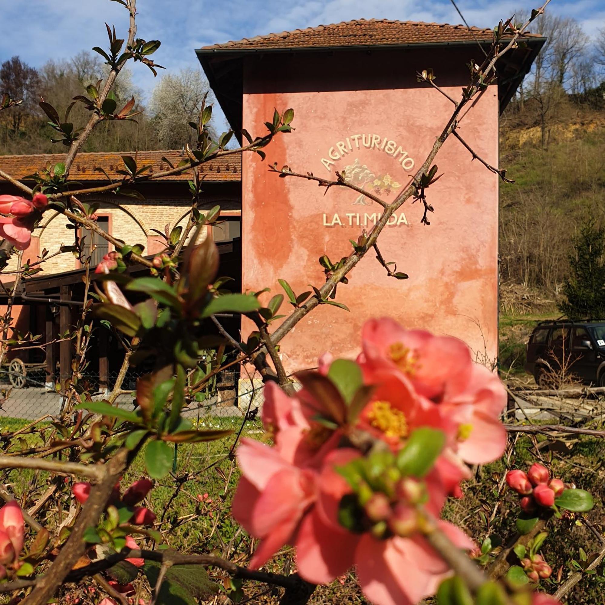 カッシーネ Agriturismo La.Ti.Mi.Da.ヴィラ エクステリア 写真