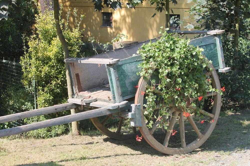 Agriturismo La.Ti.Mi.Da. Cassine エクステリア 写真